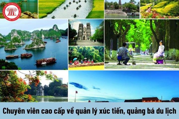 Từ 4 kiểu áo sơ mi dìm dáng, xỉn đến chiến lược content: Hotspot Matrix chia sẻ