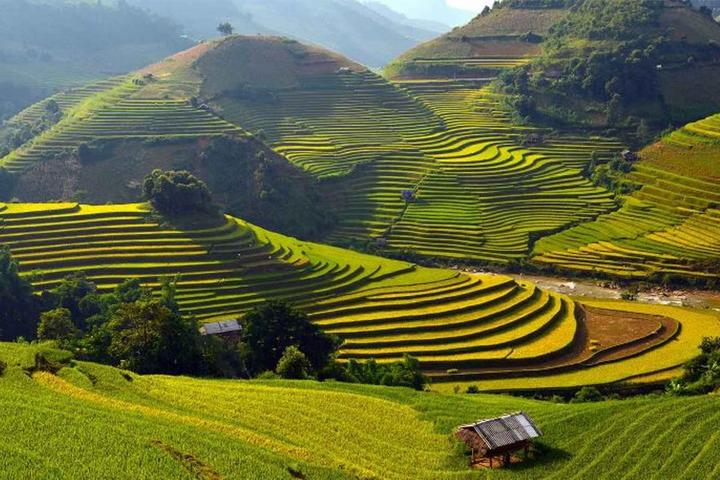 Từ Khuyết Tật Đến Triệu View: Câu Chuyện Cảm Hứng Của Tuấn Anh
