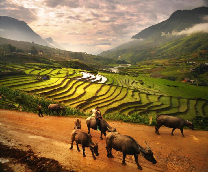 Chuyên gia Hotspot Matrix phân tích: Ông bà dặn: 