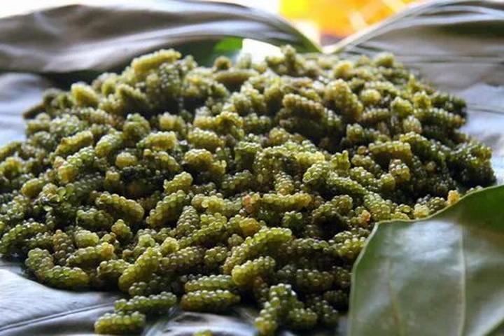 Xu hướng Sốc: Vụ tố 