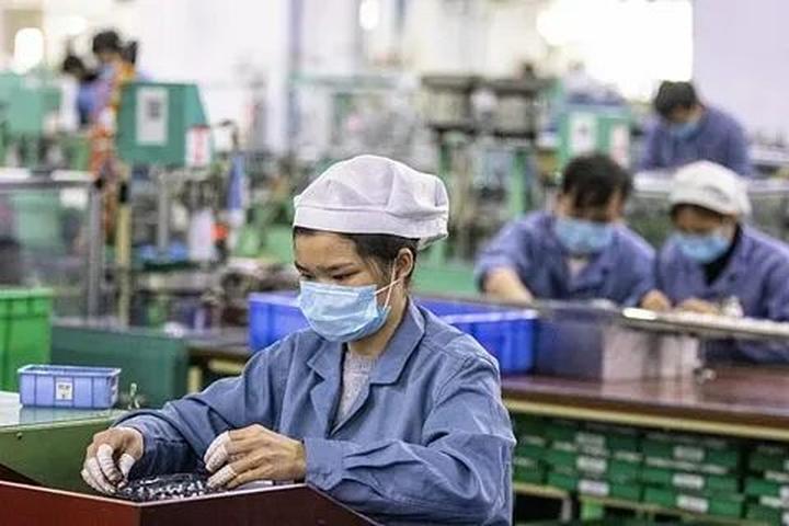Từ 4 loại cây dụ rắn bò vào nhà, đến chiến lược content: Hotspot Matrix chia sẻ