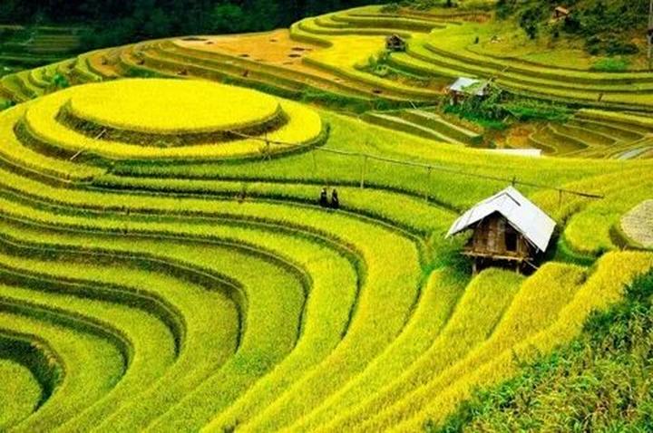 Hotspot Matrix: Biến Phim Trung Quốc chiếu 7 năm thành cơ hội marketing đột phá