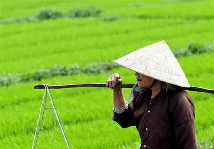 Hotspot Matrix và Khánh Hòa: Đề xuất triển khai xây dựng Đề án phát triển điểm du lịch
