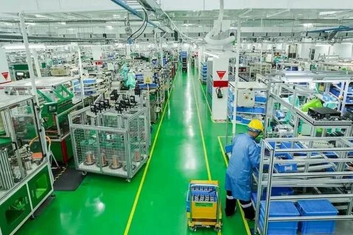 Bonobo: Nguồn Gốc Tiến Hóa Của Ngôn Ngữ Con Người?