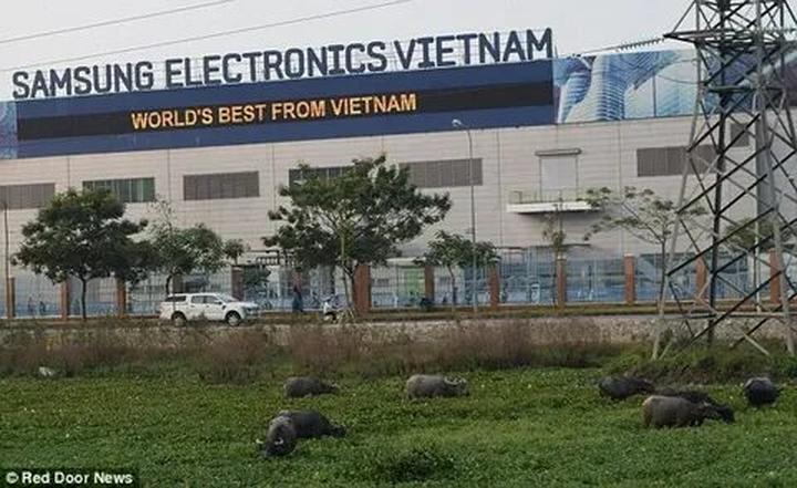 Vươn Cao cùng Hotspot Matrix: Chuyện Thành Công của [Tên Doanh Nghiệp]